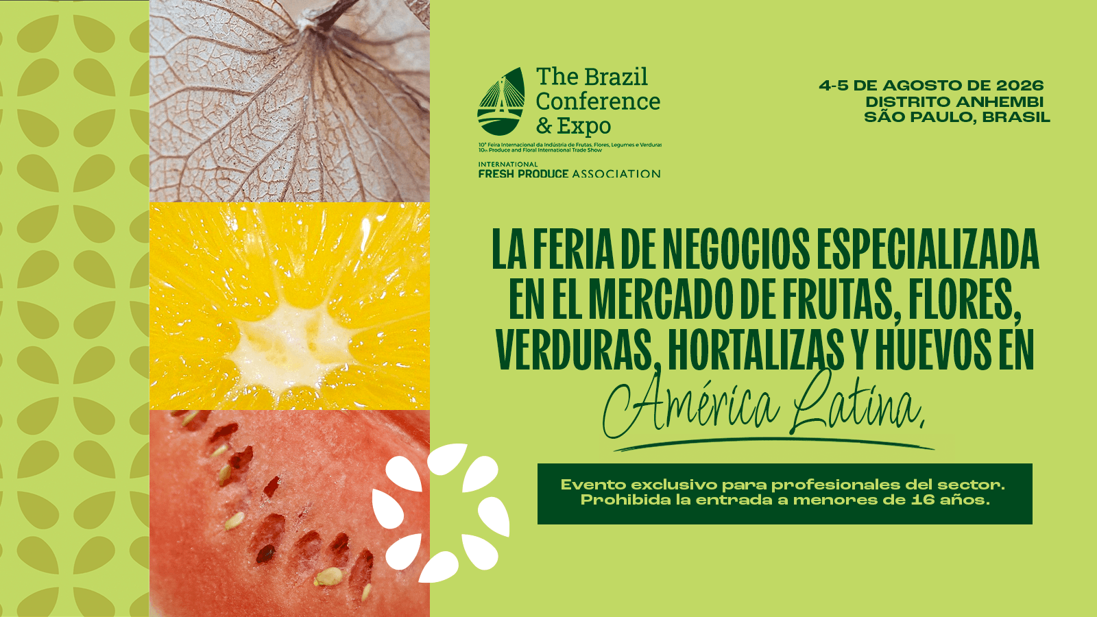 The Brazil Conference & Expo